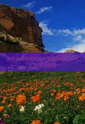 玉树去北京大型旅游团