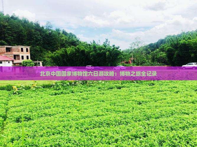 三门峡去北京中国国家博物馆六日游