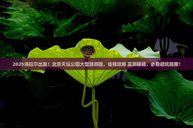 海拉尔去北京天坛公园大型旅游团