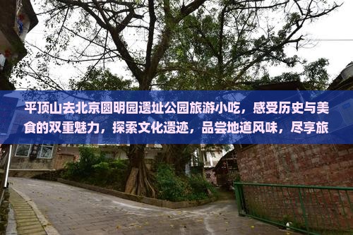 平顶山去北京圆明园遗址公园旅游小吃