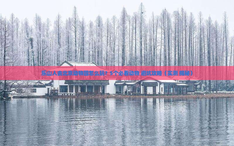 乐山去北京动物园自由行