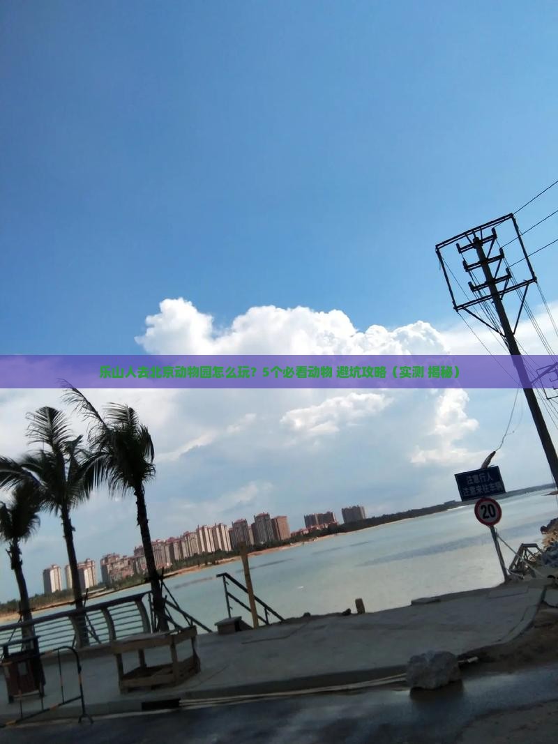 乐山去北京动物园自由行