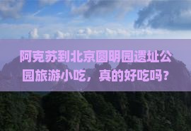 阿克苏到北京圆明园遗址公园旅游小吃