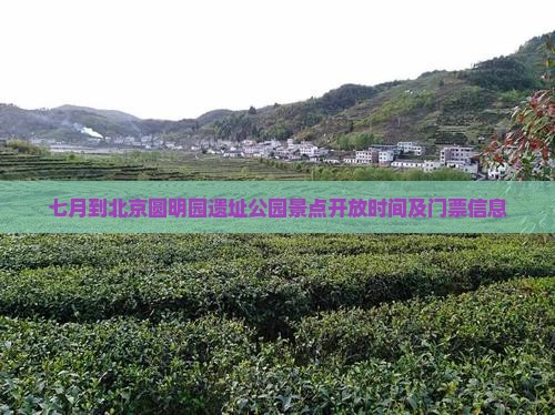 七月到北京圆明园遗址公园景点