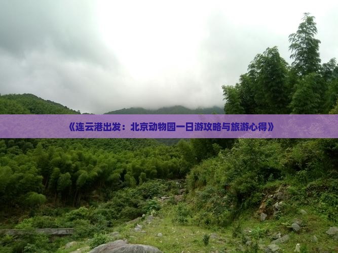 连云港到北京动物园一日游