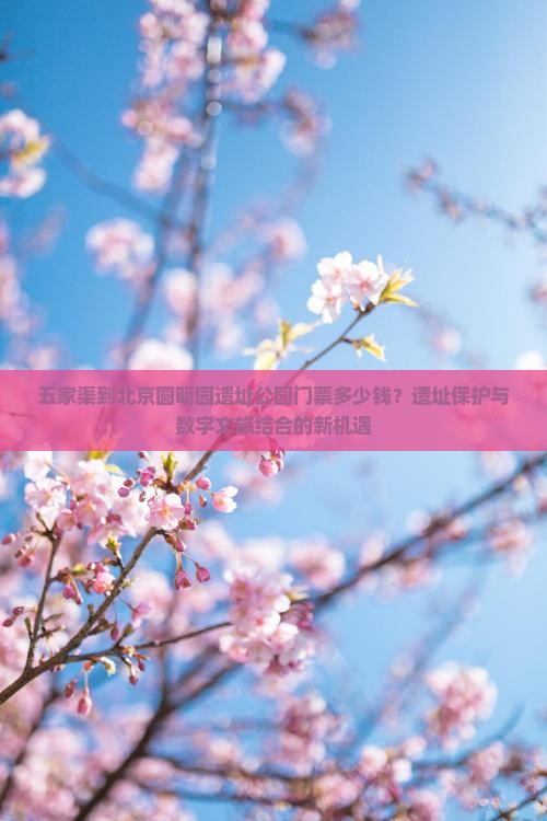 五家渠到北京圆明园遗址公园门票