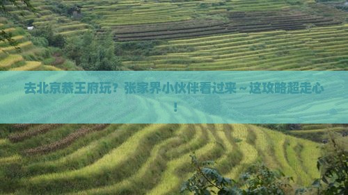 张家界去北京恭王府哪里玩