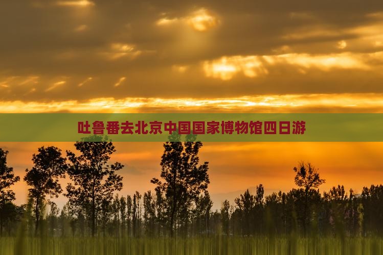 吐鲁番去北京中国国家博物馆四日游