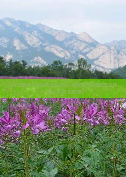 九江去北京八达岭长城必去地 九江去北京八达岭长城必去地