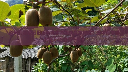 滁州到北京慕田峪长城旅游小吃