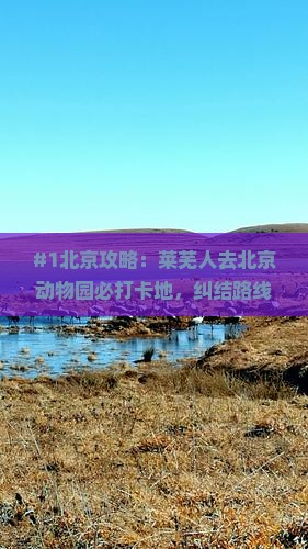 莱芜去北京动物园必去地 莱芜去北京动物园必去地