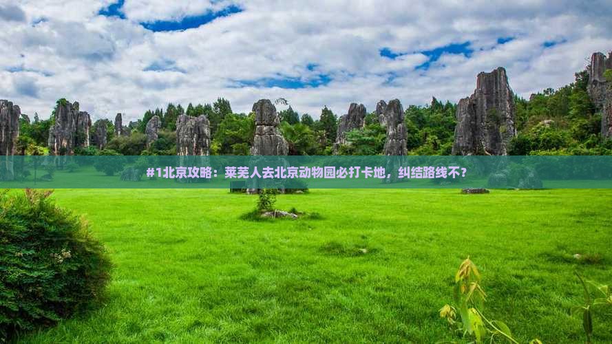 莱芜去北京动物园必去地 莱芜去北京动物园必去地