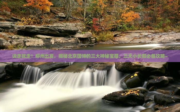 柳州去北京中国国家博物馆三日游