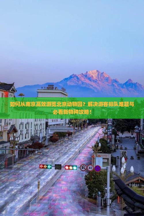 南京去北京动物园攻略
