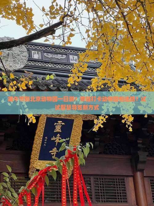 端午节到北京动物园一日游