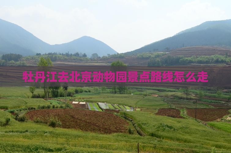 牡丹江去北京动物园景点