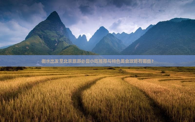 衡水去北京旅游小吃