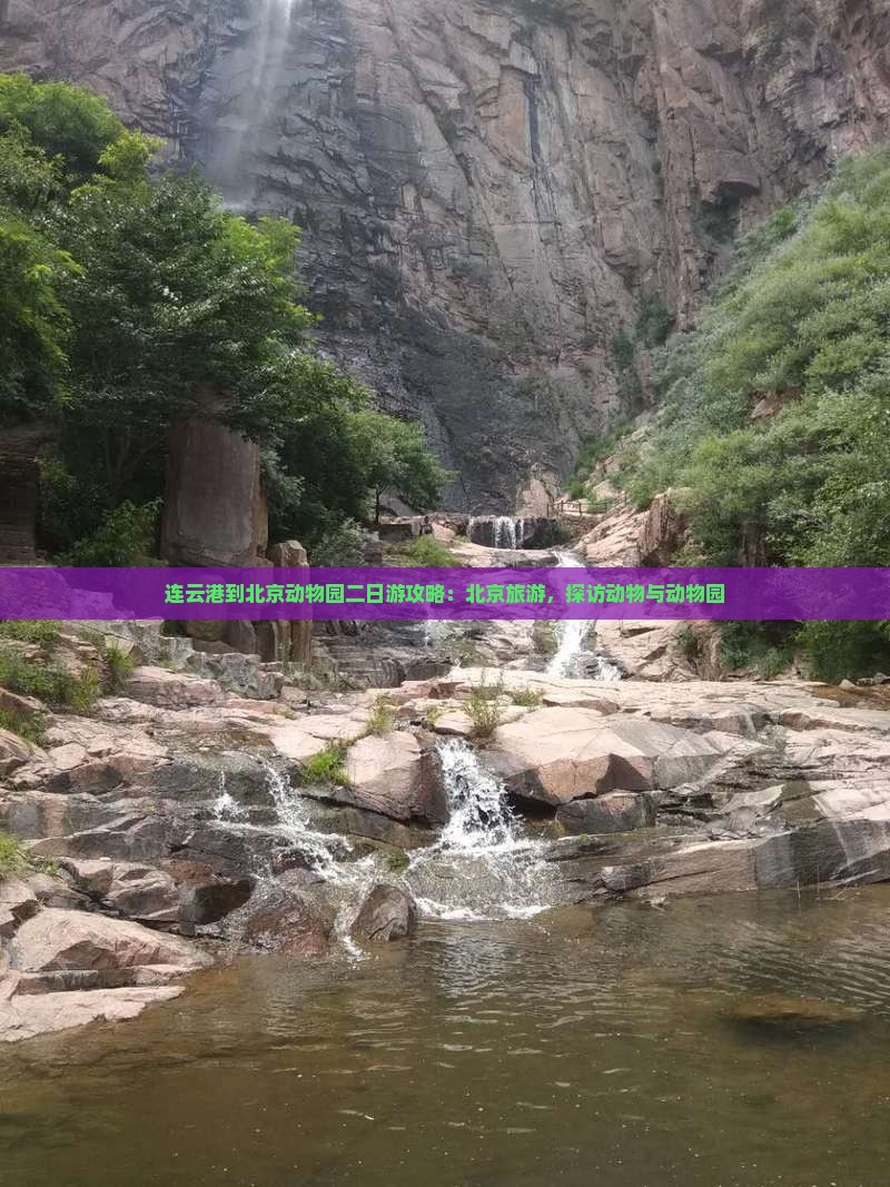 连云港到北京动物园二日游