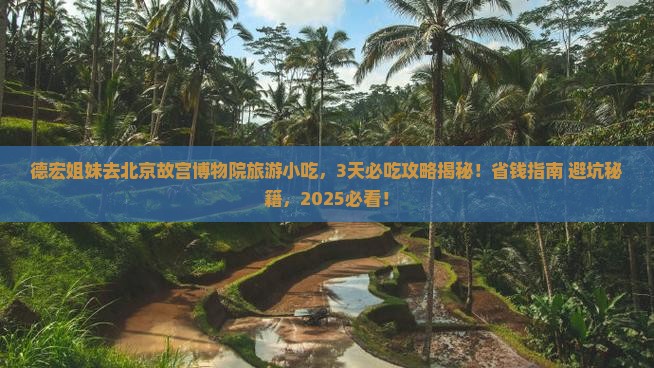 德宏去北京故宫博物院旅游小吃