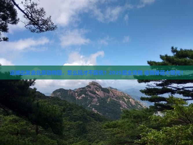 运城去北京动物园旅行社