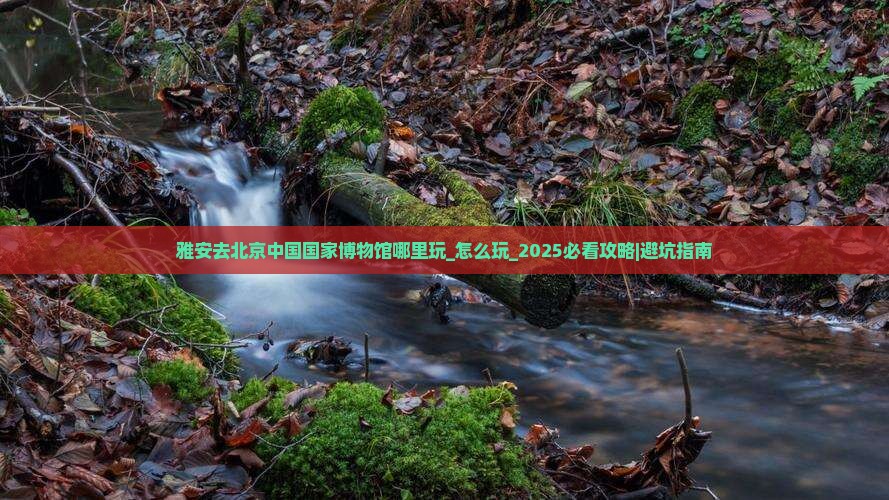 雅安去北京中国国家博物馆哪里玩