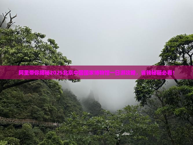 阿里去北京中国国家博物馆一日游