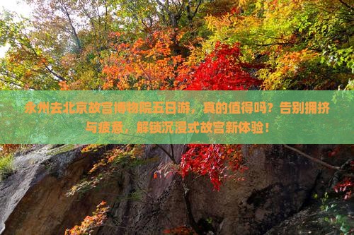 永州去北京故宫博物院五日游