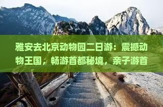 雅安去北京动物园二日游