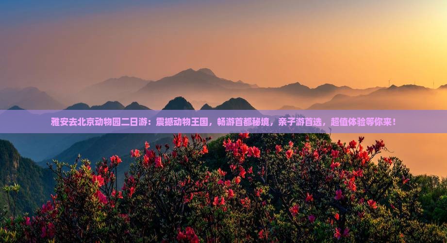 雅安去北京动物园二日游