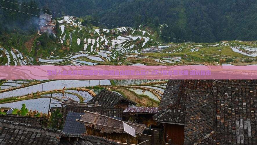 玉林去北京中国国家博物馆自由团