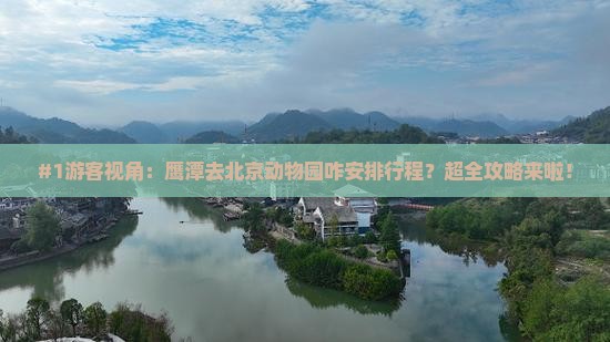 鹰潭到北京动物园旅行社