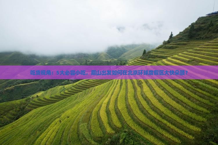 眉山去北京环球度假区旅游小吃