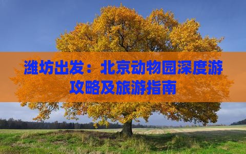 潍坊去北京动物园自由行