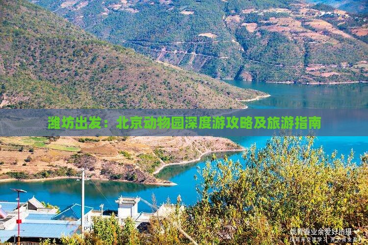 潍坊去北京动物园自由行