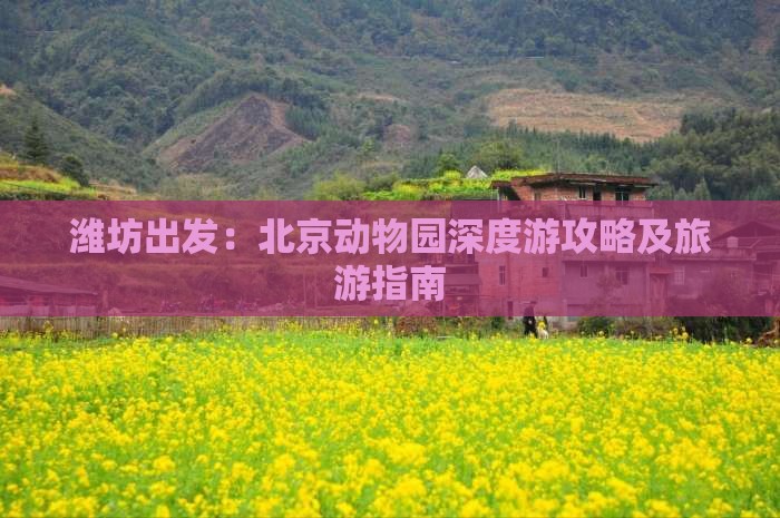 潍坊去北京动物园自由行