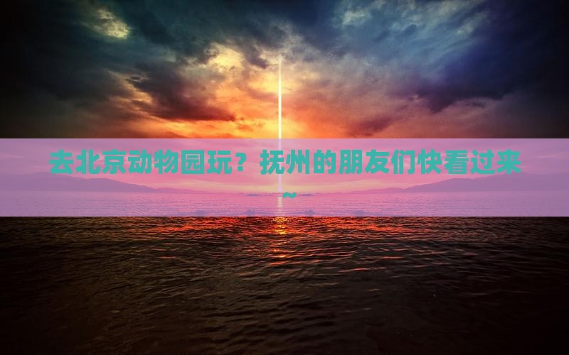 抚州去北京动物园旅行社