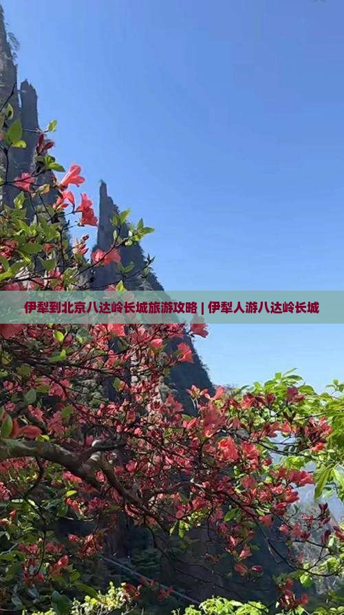伊犁去北京八达岭长城自由行