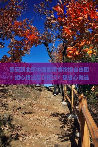 泰安到北京中国国家博物馆自由团
