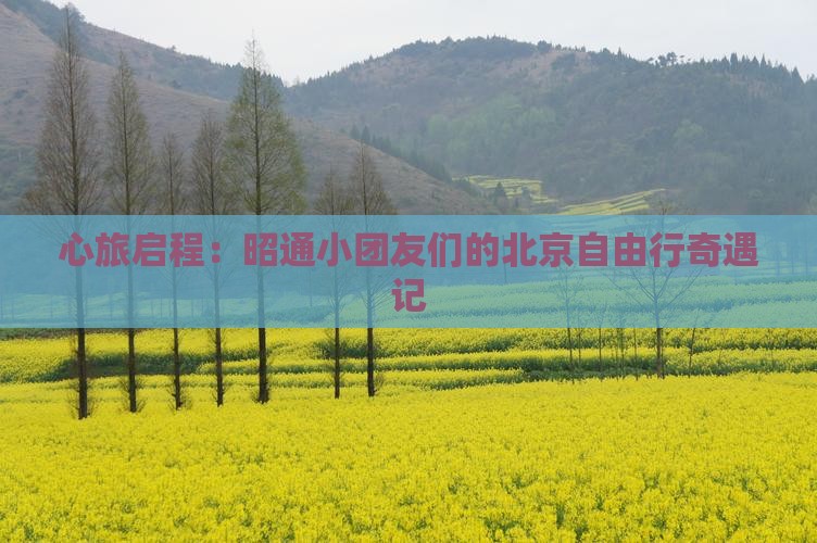 昭通去北京自由团