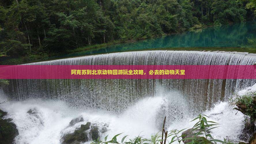 阿克苏到北京动物园必去地