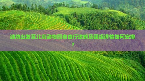 潍坊去北京动物园自由团