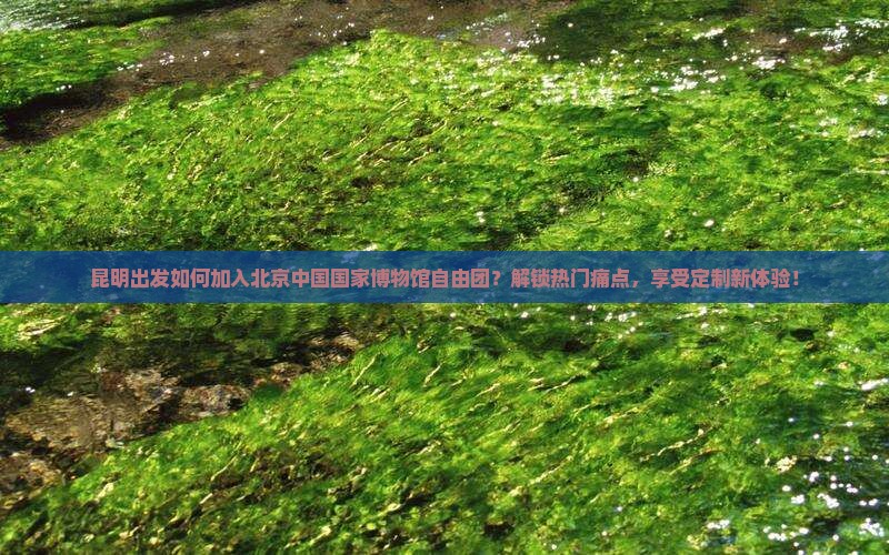 昆明去北京中国国家博物馆自由团