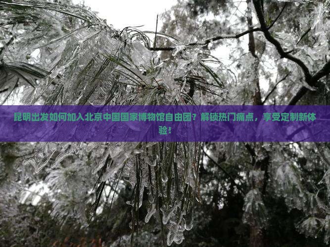 昆明去北京中国国家博物馆自由团