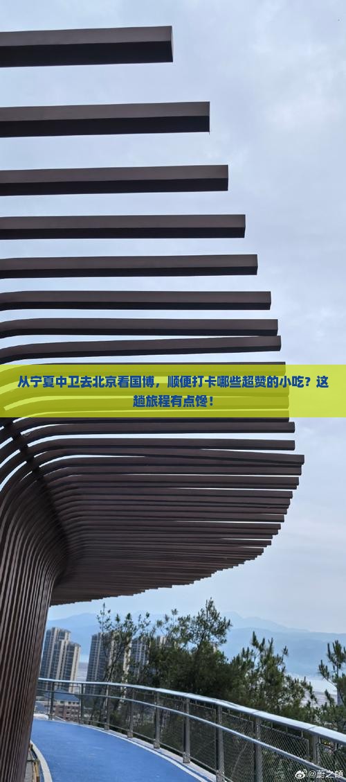 中卫到北京中国国家博物馆旅游小吃