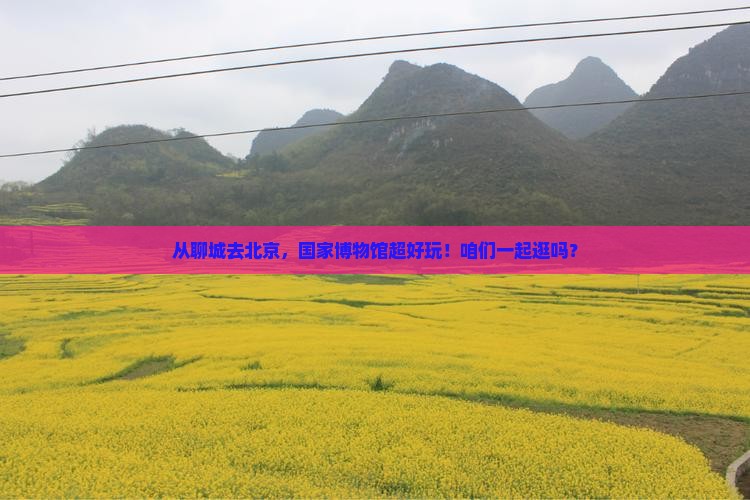 聊城到北京中国国家博物馆景点