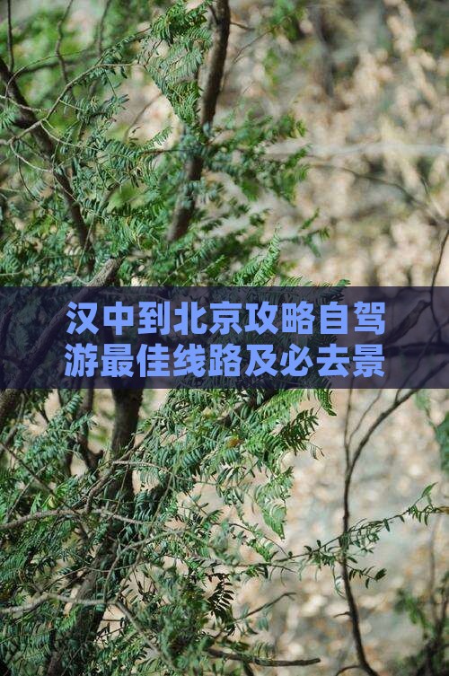 汉中到北京攻略