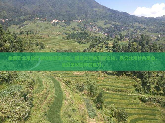 孝感到北京故宫博物院旅游小吃