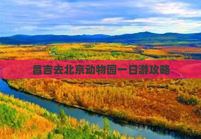昌吉去北京动物园一日游