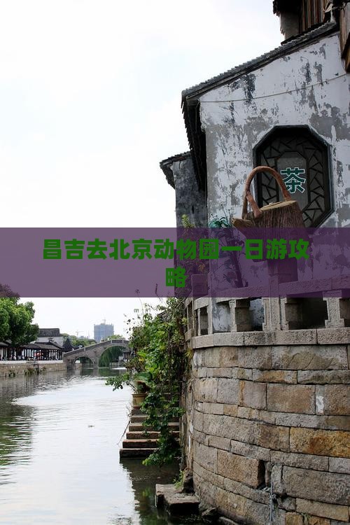 昌吉去北京动物园一日游