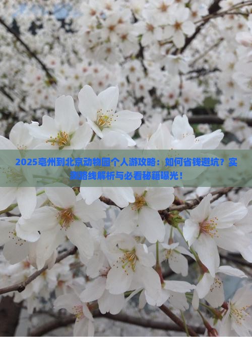 亳州到北京动物园个人游